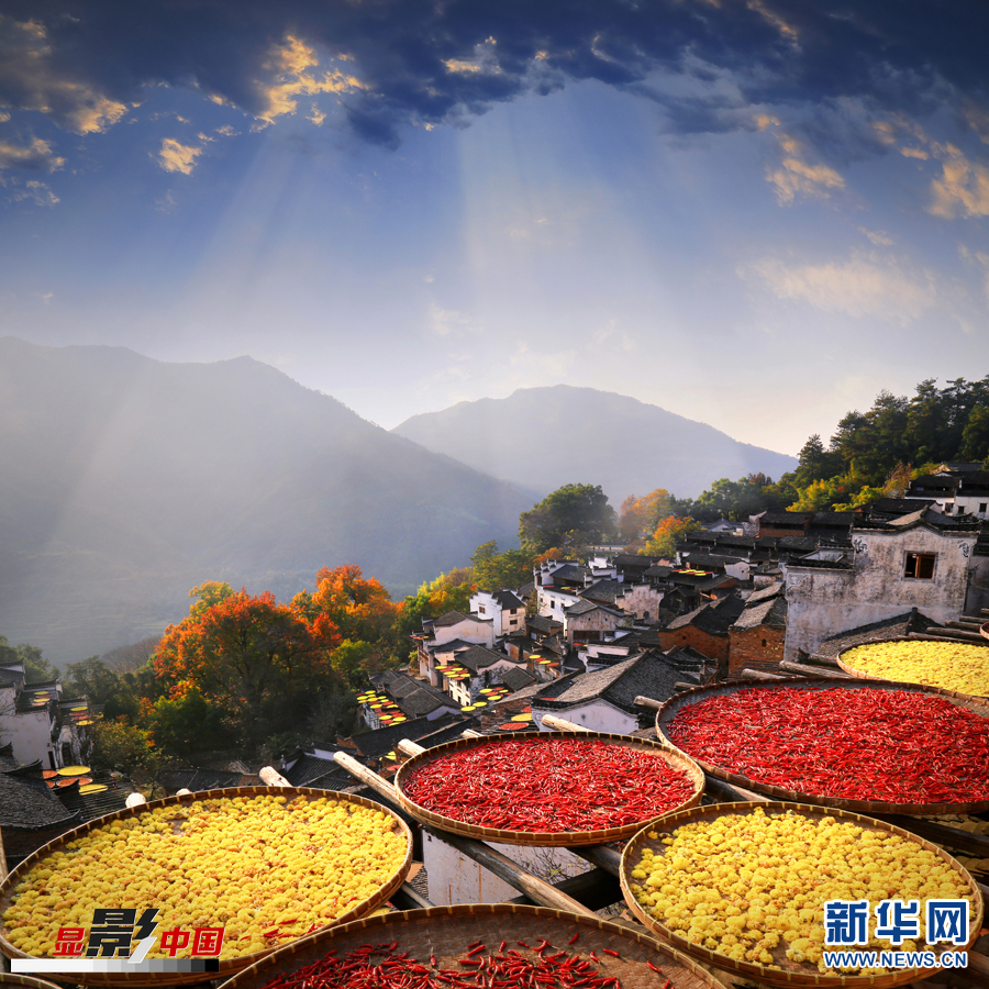 秋景初露金九月 色彩炫丽惹人醉