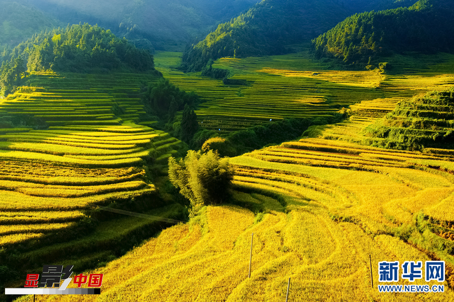 秋景初露金九月 色彩炫丽惹人醉
